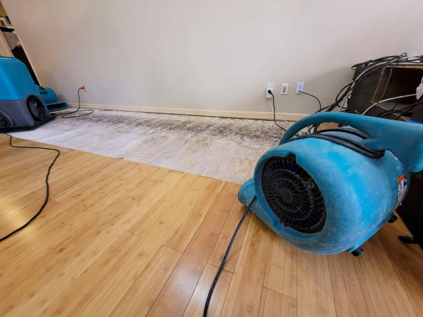 Professional Sewage Cleanup technician working in Franklin Furnace, OH
